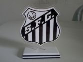 artigo esportivo de acrilico
